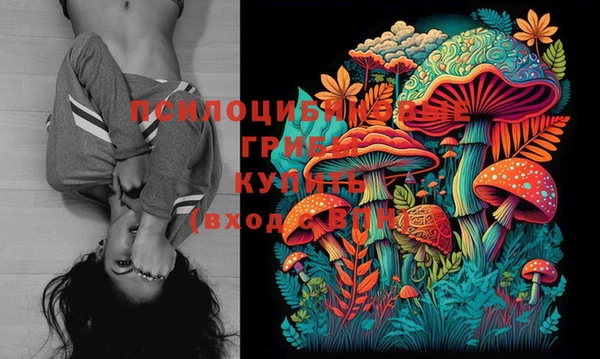 ешки Абинск