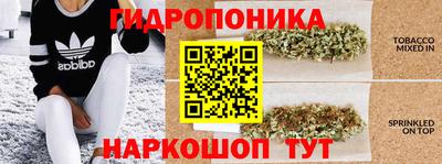 МДПВ Гай