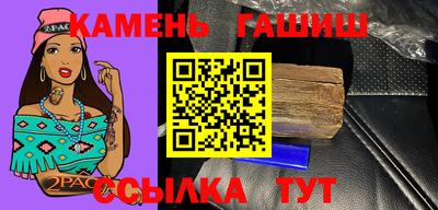 МДПВ Камень-на-Оби