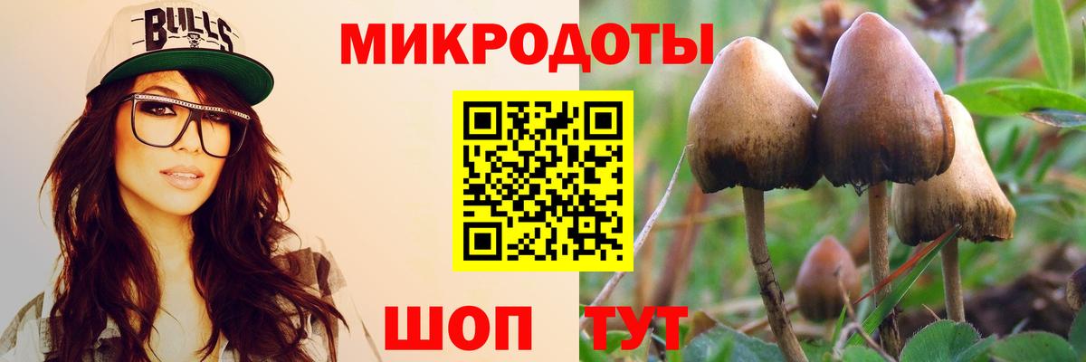 купить наркотики цена  Галлюциногенные грибы Cubensis  Вход с VPN  Ржев 